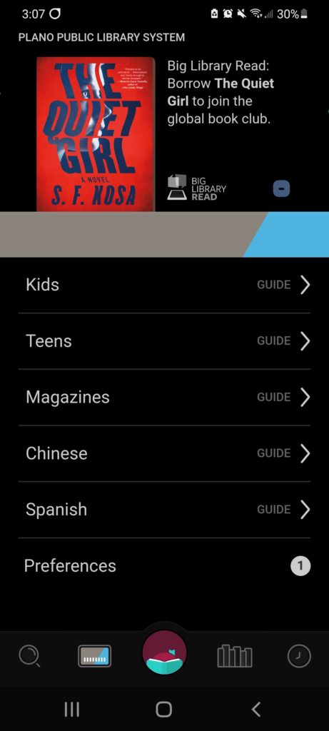 Screenshot of the Libby app showing a list of guides