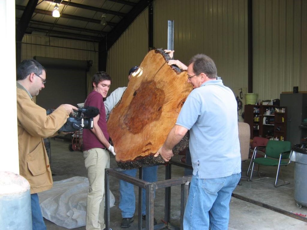 Placing the tree slice on the stand