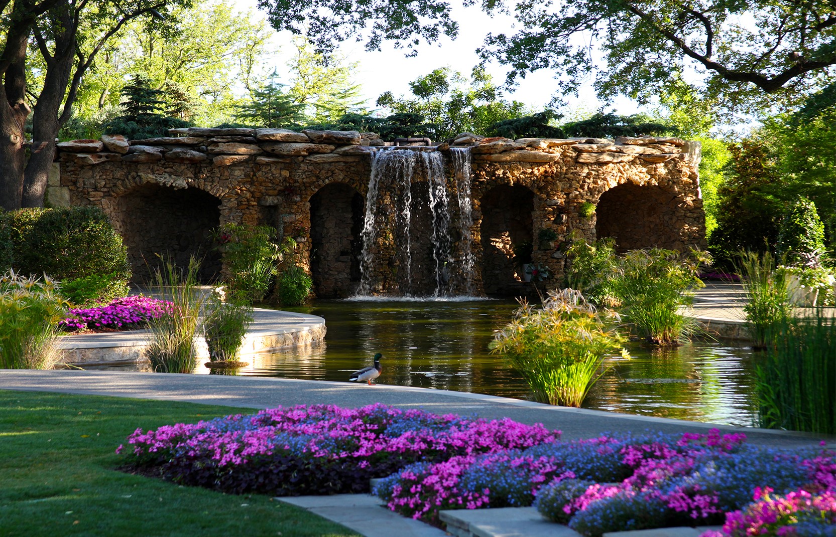 Virtual Field Trip: Dallas Arboretum