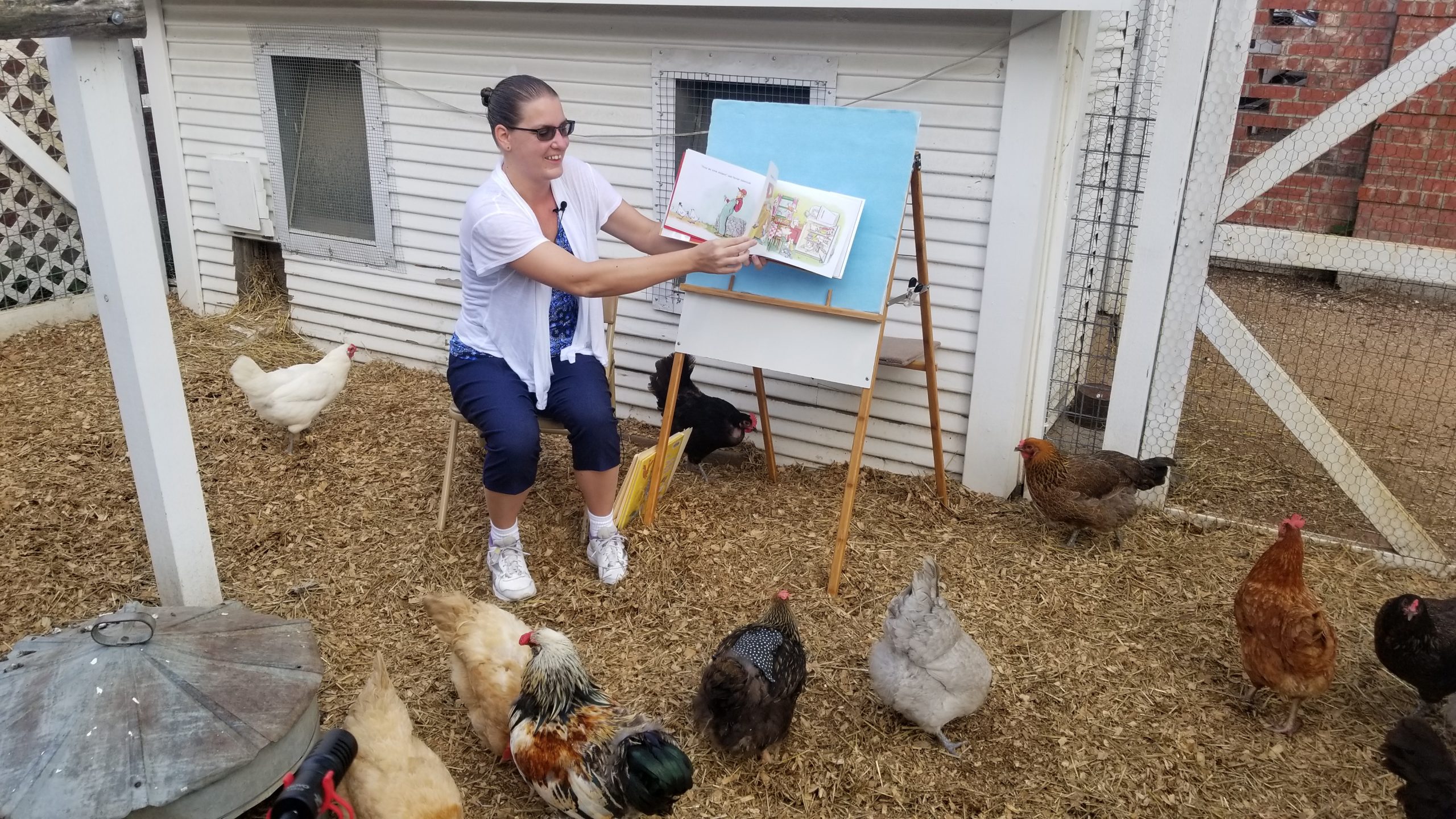 Plano Reads: Chickens