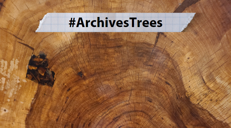 #ArchivesTrees